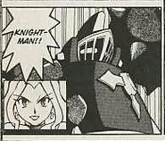 Princess Pride and KnightMan in the MegaMan NT Warrior manga.