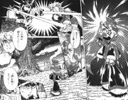 Iris interrupts the battle between her brother and Zero.