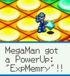 One of the finds in Mega Man Battle Network 4.
