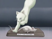 Cat&MouseFiguresStream11.png (229 KB) Cat and mouse.