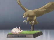 Rabbit&HawkFiguresStream11.png (246 KB) Rabbit and hawk.