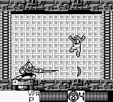 Enker's enhanced projectile