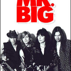 Mr Big Mmkb Fandom Mr Big Mmkb Fandom