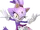 Blaze the Cat
