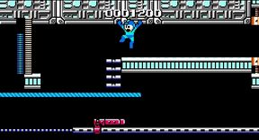 Wily4ladderzip