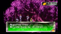 Augustus Tree - Persona 1