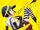 Persona 4: The Golden Animation Special Arrange CD