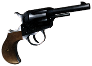 Raidou Gun (DSRK Art)