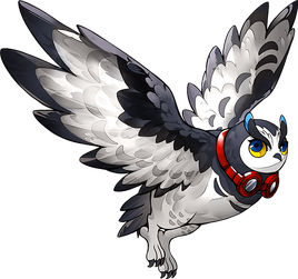 Owl