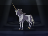 Unicorn model