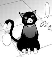 Morgana's cat form