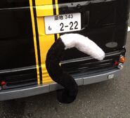 The backside of the van includes a tail