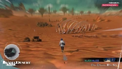 Metaphor TradiaDesert