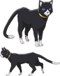 P5A Morgana's cat form Concept Art 1.png