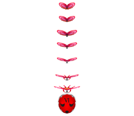Whimsical Papillon