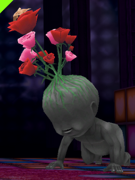 Blooming Bambino Zoom C