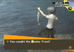 InabaFishing