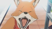 Fox howling happily