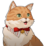 Orange Tabby