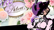 Haru FinishingTouch