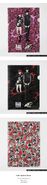 Phantom Thieves Plastic Folders