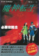 The cover of the SNES Series guide