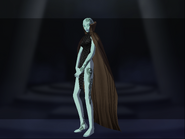 Model in Shin Megami Tensei III: Nocturne