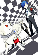 Koromaru with the protagonists of Persona 3 and Persona 4