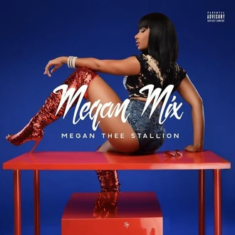 Megan Mix | Megan Thee Stallion Hotties Wiki | Fandom