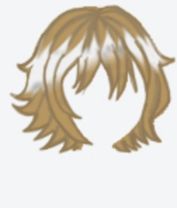 Medium 2 Light Brown Hair | Megaplanet Wiki | Fandom