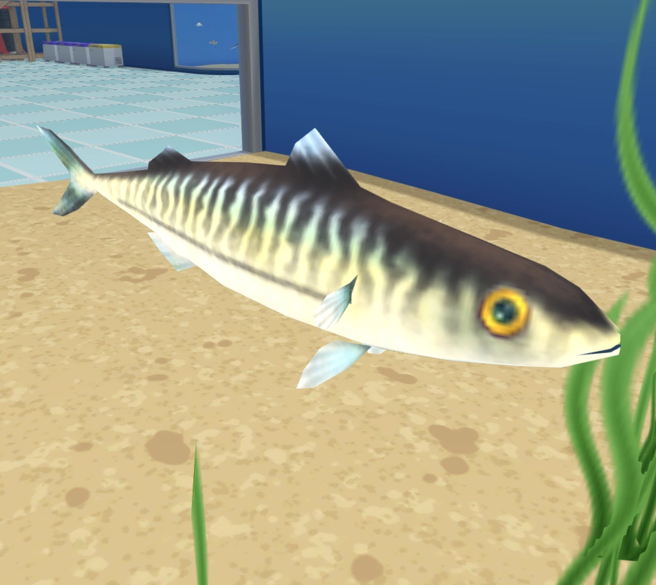 Atlantic Mackerel Megaquarium Modded Content Wiki Fandom