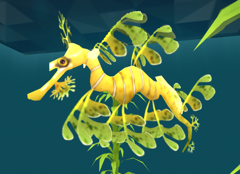 leafy sea dragon