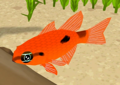 Flamefish | Megaquarium Wiki | Fandom