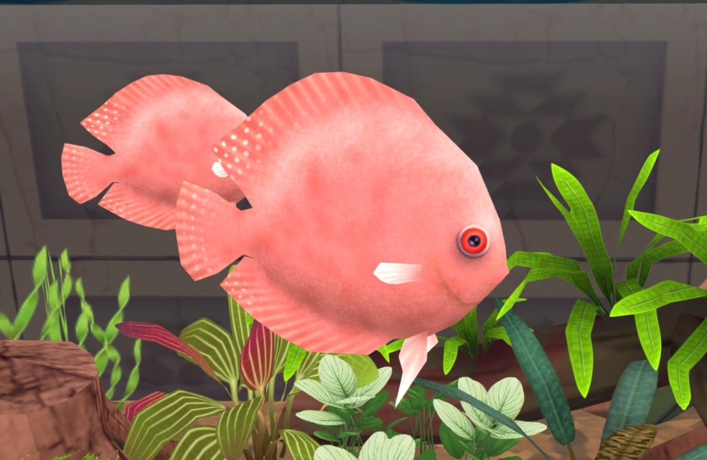 Discus Megaquarium Wiki Fandom