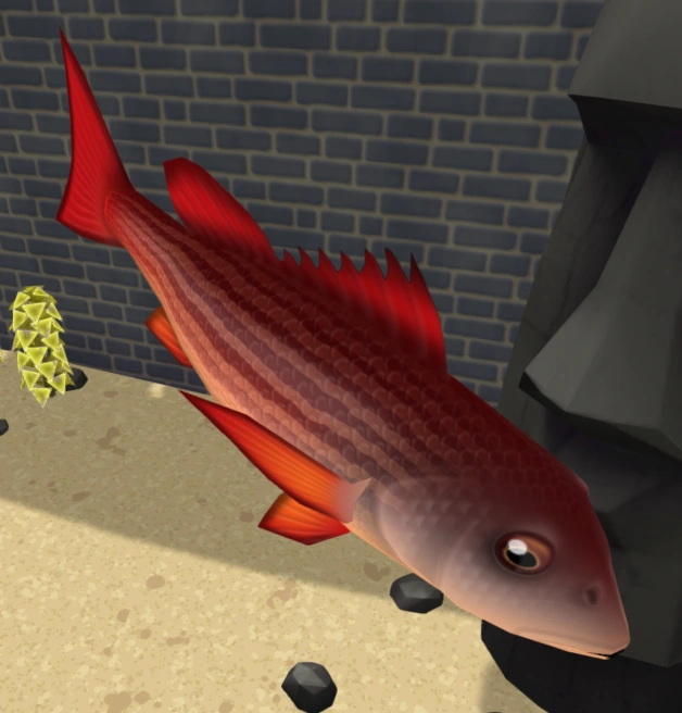 Mullet Snapper | Megaquarium Wiki | Fandom