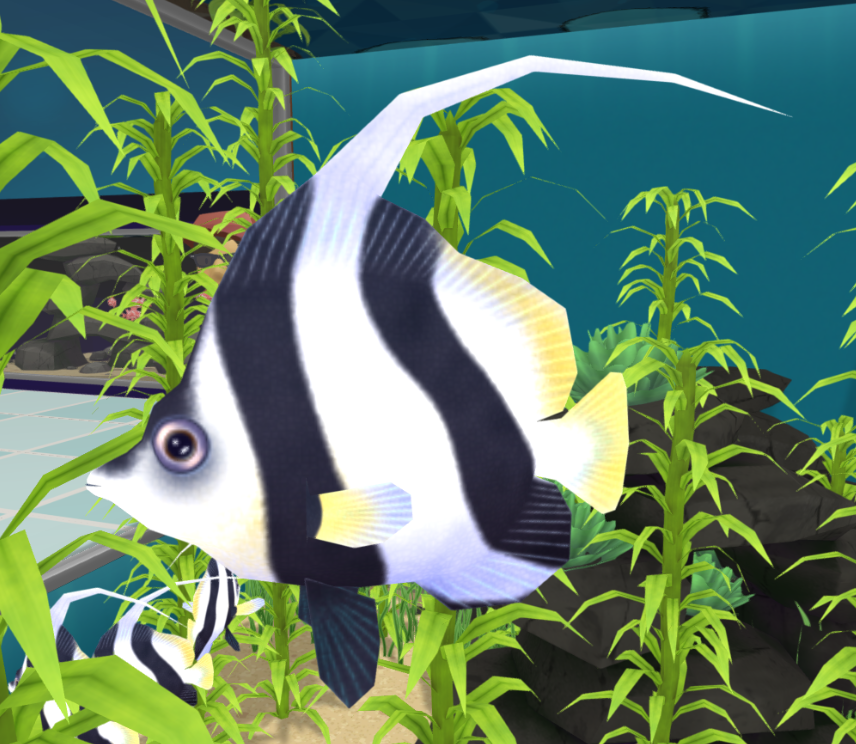 Schooling Bannerfish Megaquarium Wiki Fandom