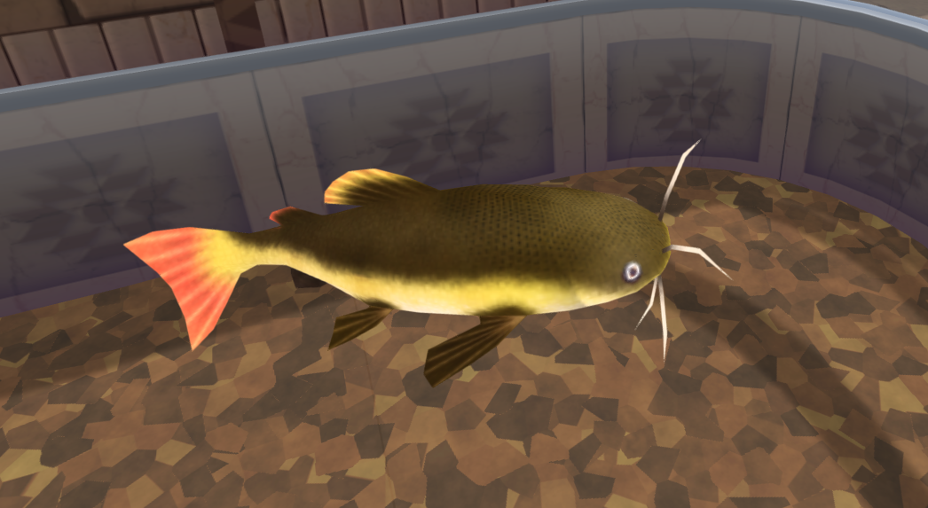 CashFish APK for Android - Download