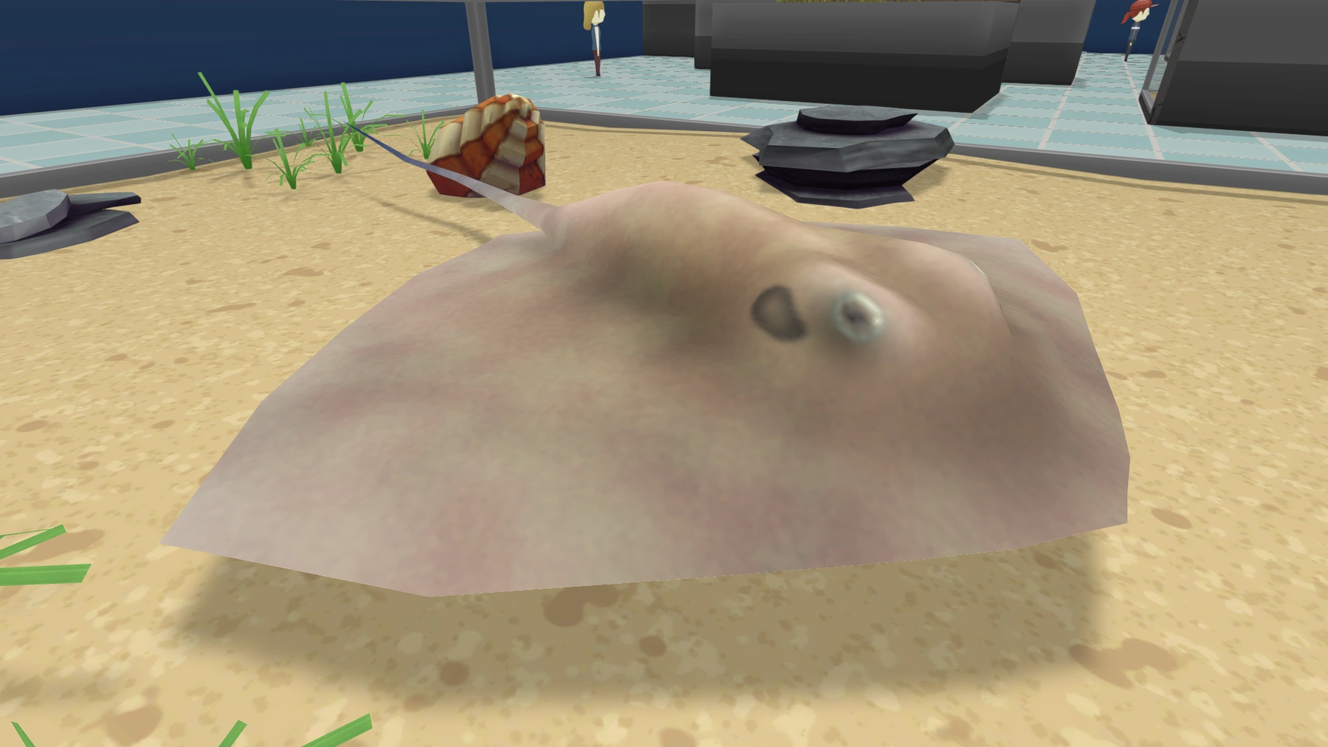 Southern Stingray Megaquarium Wiki Fandom