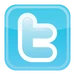 Twitter-icon-vector