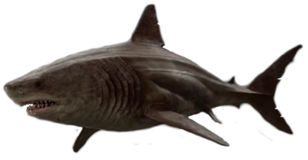 Megalodon | Meg book series Wiki | Fandom