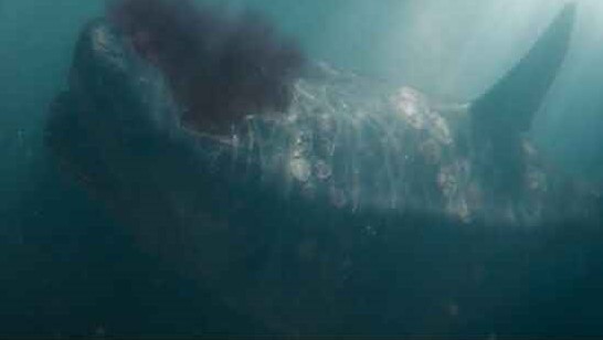 The Meg 2  The Fandom Post