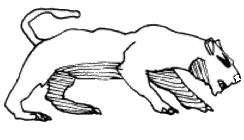 Algol20.gif