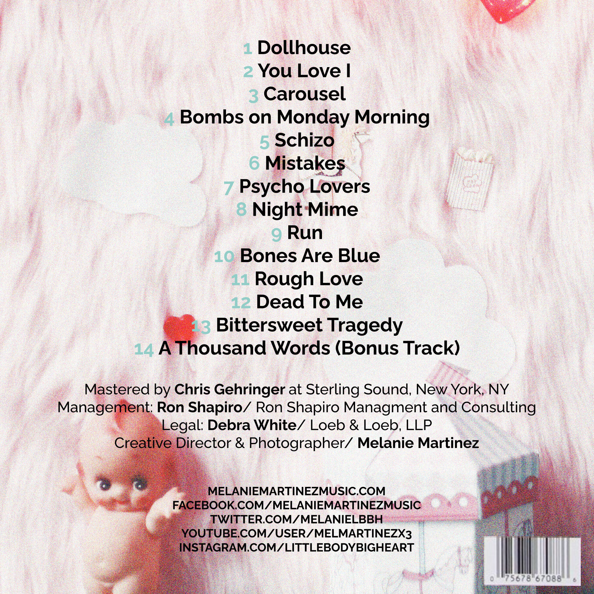 I am outraged the songs lyrics are exactly the same! @Melanie Martinez, dollhouse