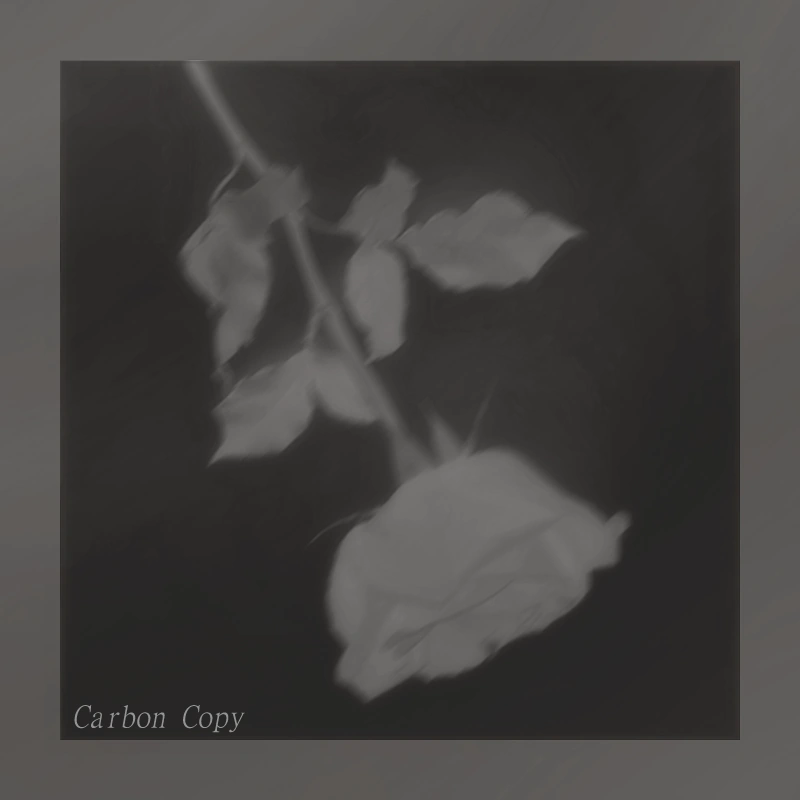 "𝚌𝚊𝚛𝚋𝚘𝚗 𝚌𝚘𝚙𝚢" Melanie Martinez Fanon Wiki Fandom