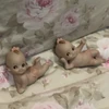 2 kewpie figurines US$50