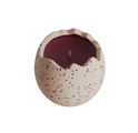 Leeches Candle