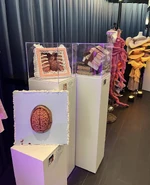 Cwtiook12trilogytour.png (2.8 MB) Props from CAN'T WAIT TILL I'M OUT OF K-12 virtual concert, on The Trilogy Tour.