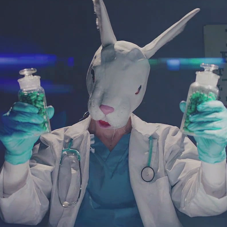 A question The Rabbit Doctors are - The Rabbit Doctors