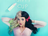 Sippy Cup