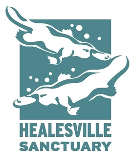 Healesville-Sanctuary-logo